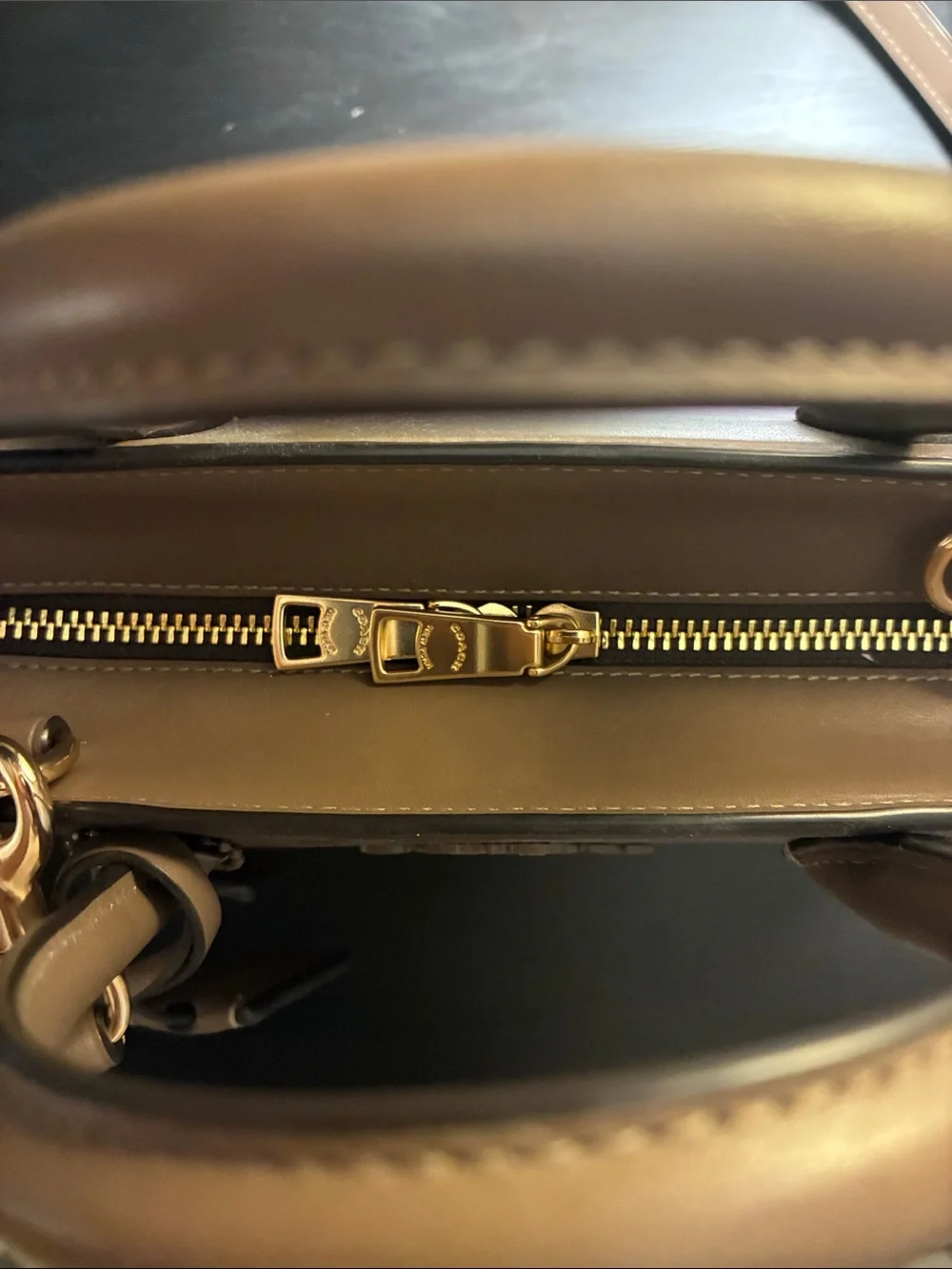 Coach Andrea Carryall Bag